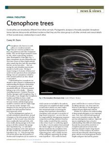 Ctenophore trees.